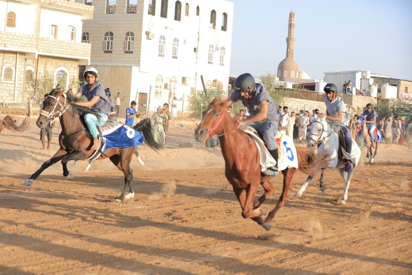 مأرب.. انطلاق تصفيات مهرجان الفروسية احتفاء بأعياد الثورة