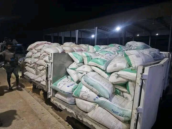 الجوف.. مزارعو القمح يشكون من قيود حوثية تسببت بتكدس محاصيلهم