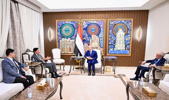 العليمي يؤكد مضي الدولة في تفكيك منظومة الإفلات من العقاب