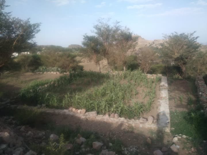 مليشيا الحوثي تمنع بناء مسجد على نفقة الأهالي في المخادر بإب