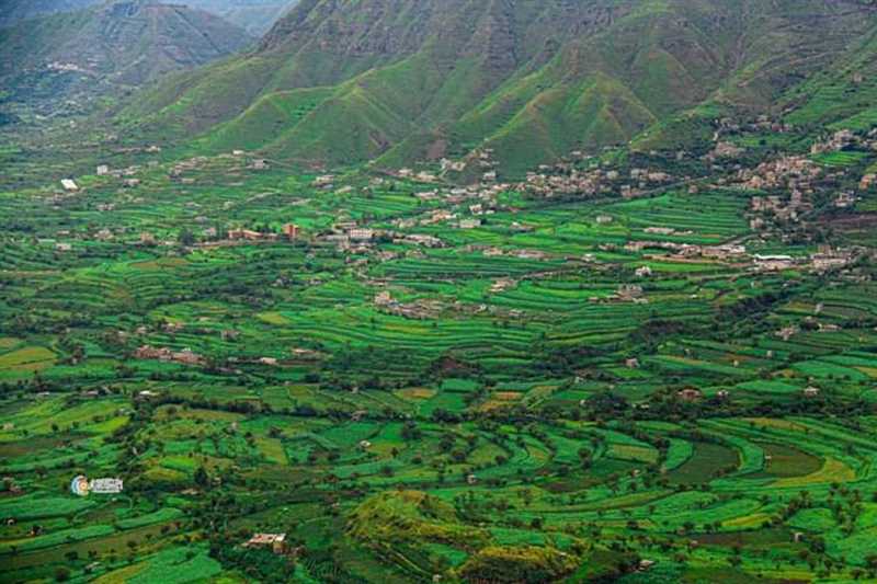 استهداف منازل ومتاجر وممتلكات.. عصابات مسلحة تنشر الرعب في المخادر شمالي إب