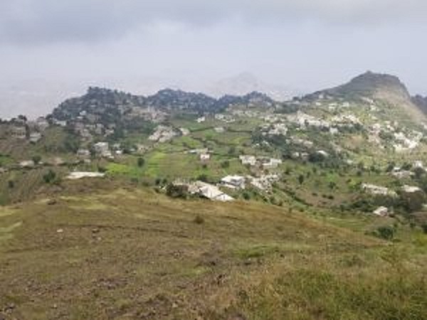 شاب يُنهي حياته في إحدى بلدات محافظة إب