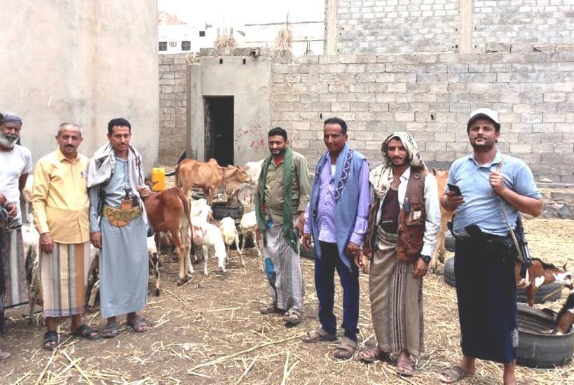 تحت مبرر حماية البيئة.. مليشيا الحوثي تستحدث إتاوات جديدة على مربي المواشي