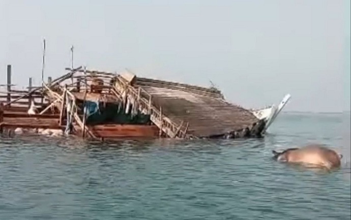 اليمن..غرق سفينة محمّلة بالماشية قبالة سواحل رأس العارة في لحج