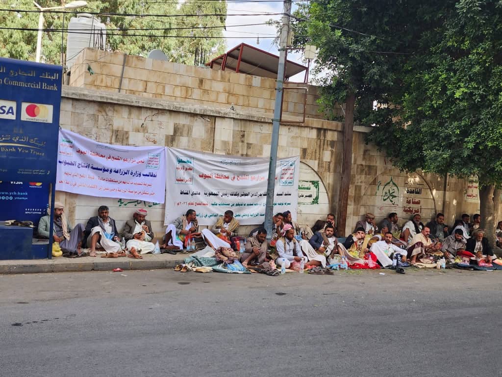 معتصمو مزارع قمح الجوف: لن نرفع اعتصامنا إلا باستلام قيمة القمح