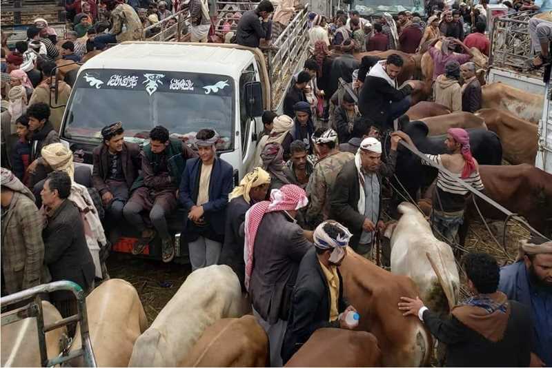 إب.. مليشيا الحوثي تُجبر السكان على تقديم أضاحي لمقاتليها وتفرض جبايات مالية على تجار المواشي