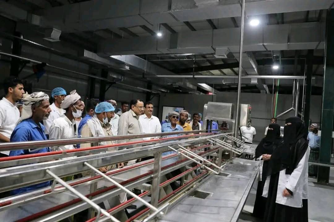 بعد إعلان وقف نشاطها.. شركة برايم الإماراتية تعد موردي الأسماك باستمرار نشاطها في سقطرى