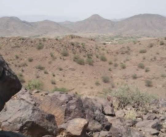 عمران..عودة التوترات القبلية بين قبيلتي العصيمات وصبارة