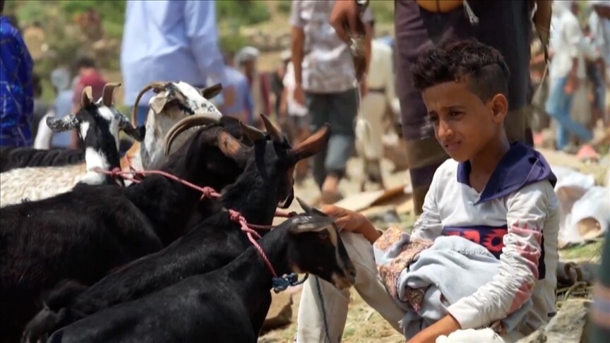 لقمة العيش أم أداء الشعيرة.. "حيرة" اليمنيين في الأضحى (تقرير)